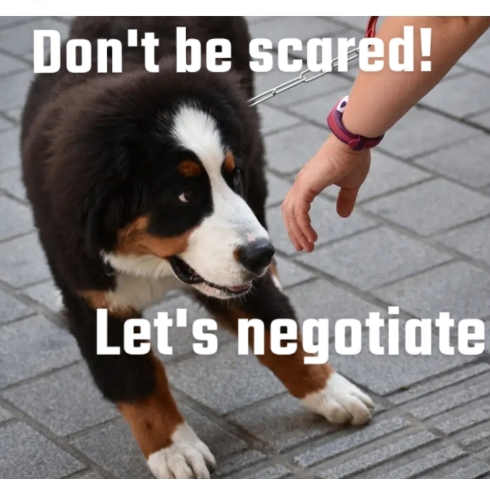 If-y about a price??? FEAR not! We can talk!!!